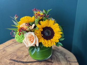 Sunlit Peach from Metropolitan Plant & Flower Exchange, local NJ florist