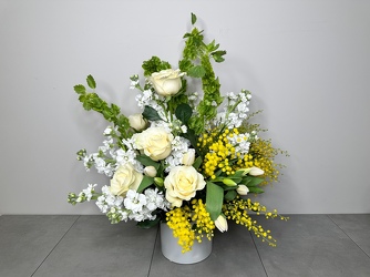 A New Day from Metropolitan Plant & Flower Exchange, local NJ florist