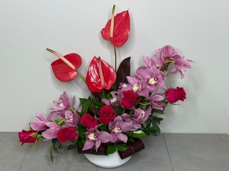Amazon Kiss from Metropolitan Plant & Flower Exchange, local NJ florist