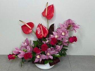 Amazon Kiss from Metropolitan Plant & Flower Exchange, local NJ florist