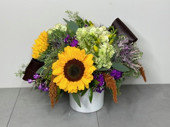 Aubergine from Metropolitan Plant & Flower Exchange, local NJ florist