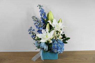 Baby Blues from Metropolitan Plant & Flower Exchange, local NJ florist