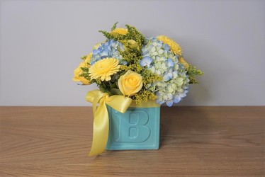 Baby Boy from Metropolitan Plant & Flower Exchange, local NJ florist