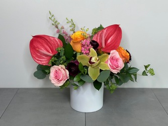 Bahamas from Metropolitan Plant & Flower Exchange, local NJ florist