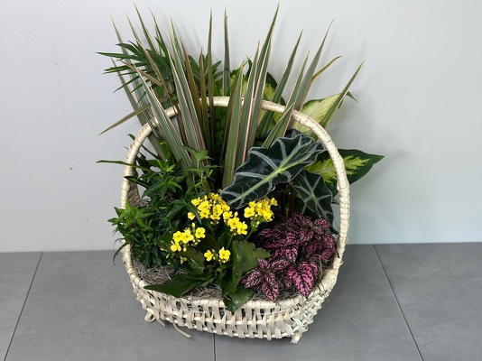 Blooming Garden from Metropolitan Plant & Flower Exchange, local NJ florist