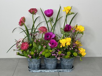 Blossoming Blooms from Metropolitan Plant & Flower Exchange, local NJ florist