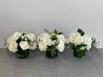 Classic Trio from Metropolitan Plant & Flower Exchange, local NJ florist