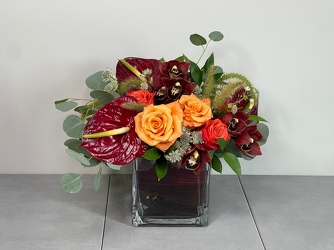 Cranberry Muse from Metropolitan Plant & Flower Exchange, local NJ florist