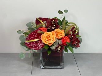 Cranberry Muse from Metropolitan Plant & Flower Exchange, local NJ florist