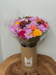 Daisy Daydream from Metropolitan Plant & Flower Exchange, local NJ florist