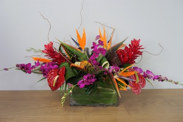 Exotic Collection from Metropolitan Plant & Flower Exchange, local NJ florist