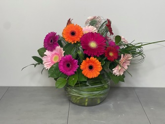 Gerbera Brights from Metropolitan Plant & Flower Exchange, local NJ florist