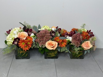 Harvest Trio from Metropolitan Plant & Flower Exchange, local NJ florist