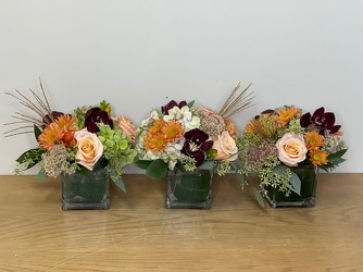 Harvest Trio from Metropolitan Plant & Flower Exchange, local NJ florist