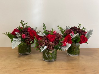 Holiday Trio from Metropolitan Plant & Flower Exchange, local NJ florist