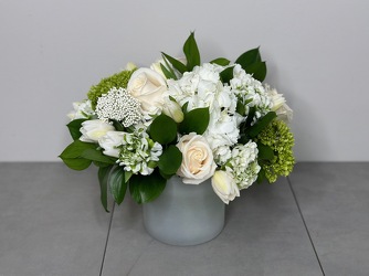 Ivory Dreams from Metropolitan Plant & Flower Exchange, local NJ florist