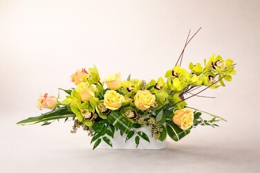 Lime Zest from Metropolitan Plant & Flower Exchange, local NJ florist