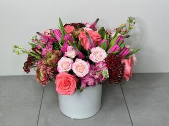 Magenta Crush from Metropolitan Plant & Flower Exchange, local NJ florist
