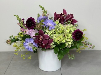 Mulberry from Metropolitan Plant & Flower Exchange, local NJ florist