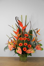 Orange Paradise from Metropolitan Plant & Flower Exchange, local NJ florist
