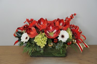 Peppermint Joy from Metropolitan Plant & Flower Exchange, local NJ florist