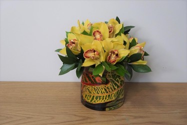 Petite Cymbidium from Metropolitan Plant & Flower Exchange, local NJ florist