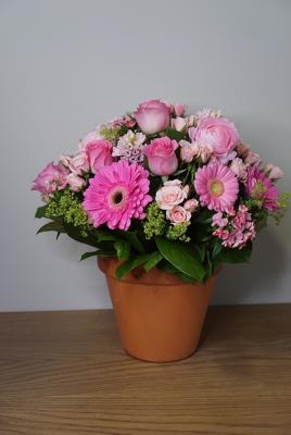 Potted Blooms from Metropolitan Plant & Flower Exchange, local NJ florist
