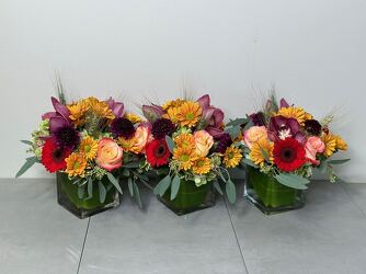 Pumpkin Spice Trio from Metropolitan Plant & Flower Exchange, local NJ florist