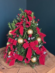 Festive Boxwood Tree Festive Boxwood Tree