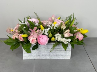 Spring Posy from Metropolitan Plant & Flower Exchange, local NJ florist