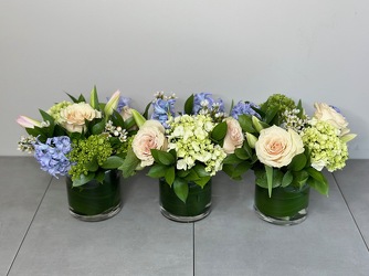 Spring Trio from Metropolitan Plant & Flower Exchange, local NJ florist