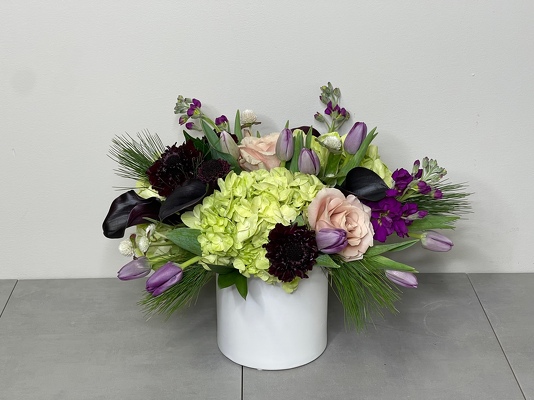 Sugar Plum Fairy from Metropolitan Plant & Flower Exchange, local NJ florist