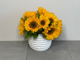 Sunny Sunflowers from Metropolitan Plant & Flower Exchange, local NJ florist