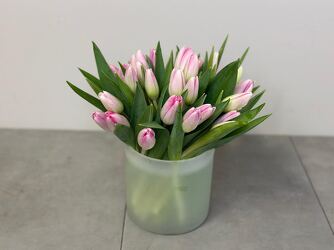 Totally Tulips