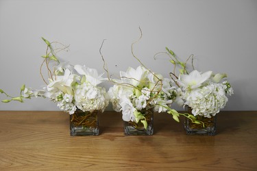 Tres Blanc from Metropolitan Plant & Flower Exchange, local NJ florist
