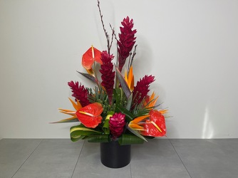 Tropical Collection from Metropolitan Plant & Flower Exchange, local NJ florist