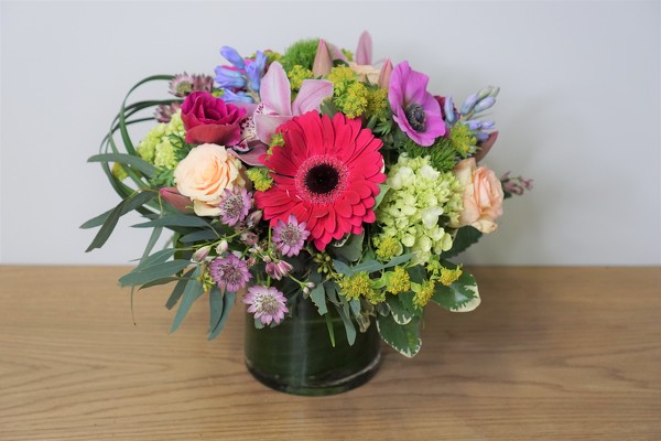 Vivid Wonder from Metropolitan Plant & Flower Exchange, local NJ florist