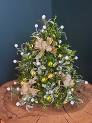 Holiday Glow Boxwood from Metropolitan Plant & Flower Exchange, local NJ florist
