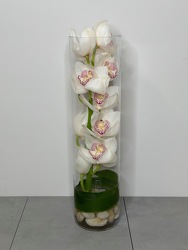 Zensational from Metropolitan Plant & Flower Exchange, local NJ florist