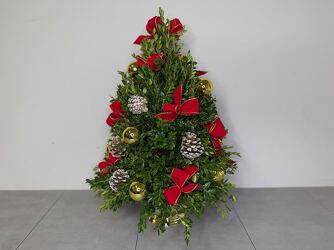 Festive Boxwood Tree from Metropolitan Plant & Flower Exchange, local NJ florist