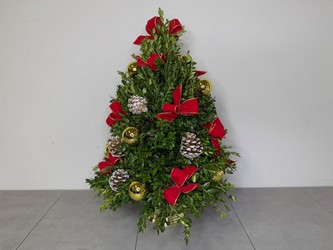Festive Boxwood Tree from Metropolitan Plant & Flower Exchange, local NJ florist