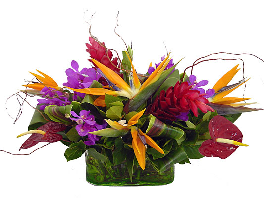 Exotic Collection from Metropolitan Plant & Flower Exchange, local NJ florist