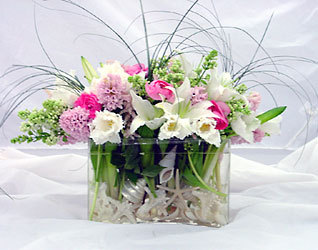  from Metropolitan Plant & Flower Exchange, local NJ florist