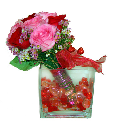 Divine from Metropolitan Plant & Flower Exchange, local NJ florist