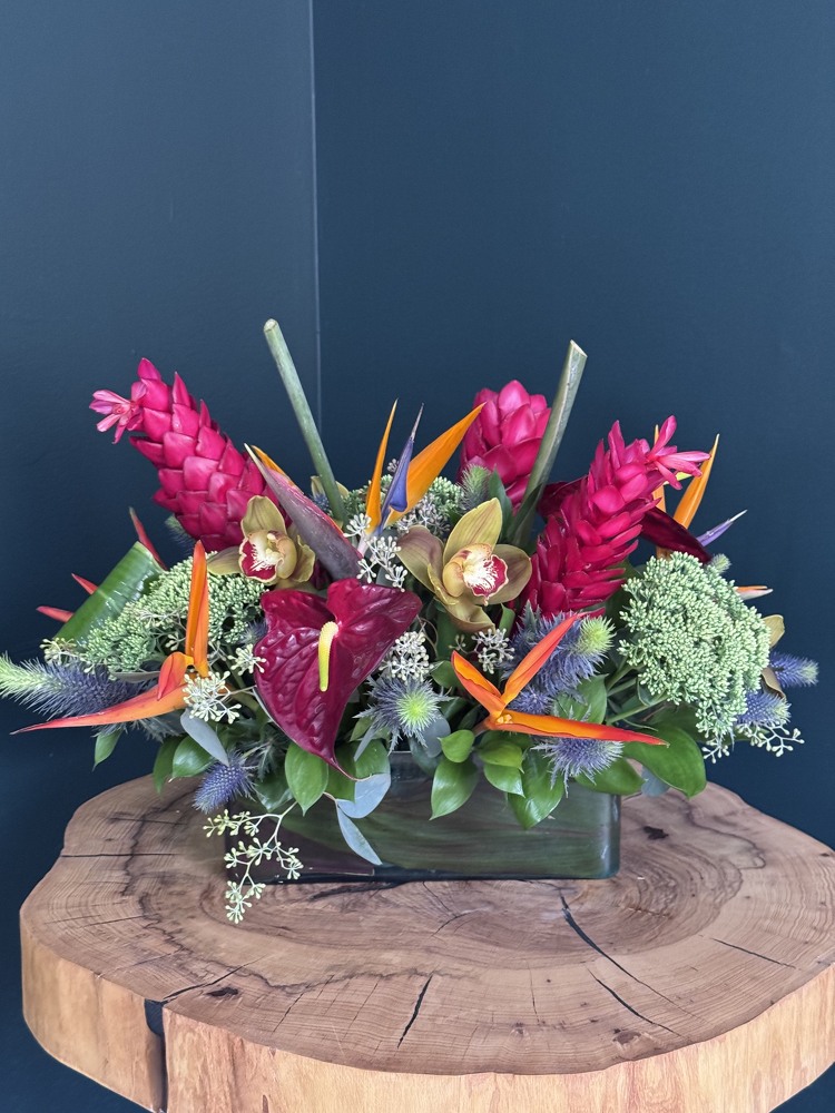 Tropical Jewel from Metropolitan Plant & Flower Exchange, local NJ florist