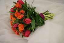  from Metropolitan Plant & Flower Exchange, local NJ florist