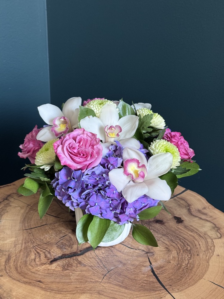 Orchid Breeze from Metropolitan Plant & Flower Exchange, local NJ florist