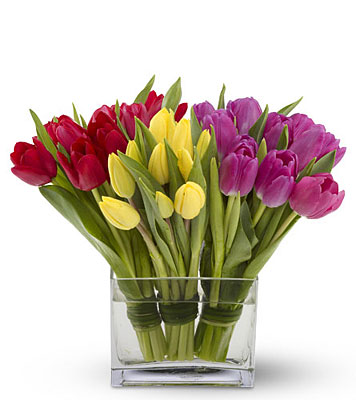Tulips Together from Metropolitan Plant & Flower Exchange, local NJ florist