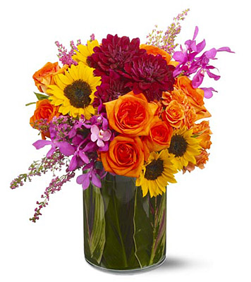 Salsa Celebration from Metropolitan Plant & Flower Exchange, local NJ florist