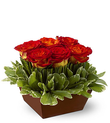 Grass Roses from Metropolitan Plant & Flower Exchange, local NJ florist